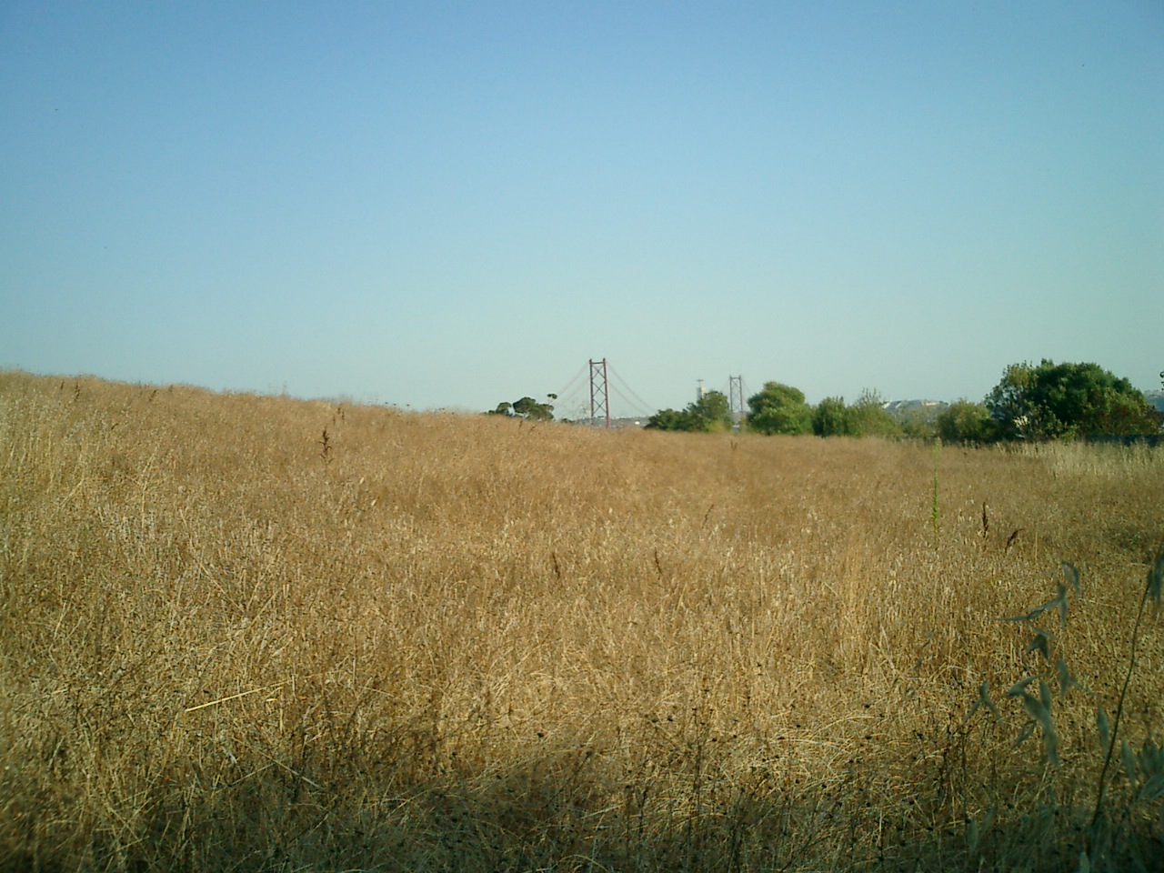 [CIMG0233.JPG]