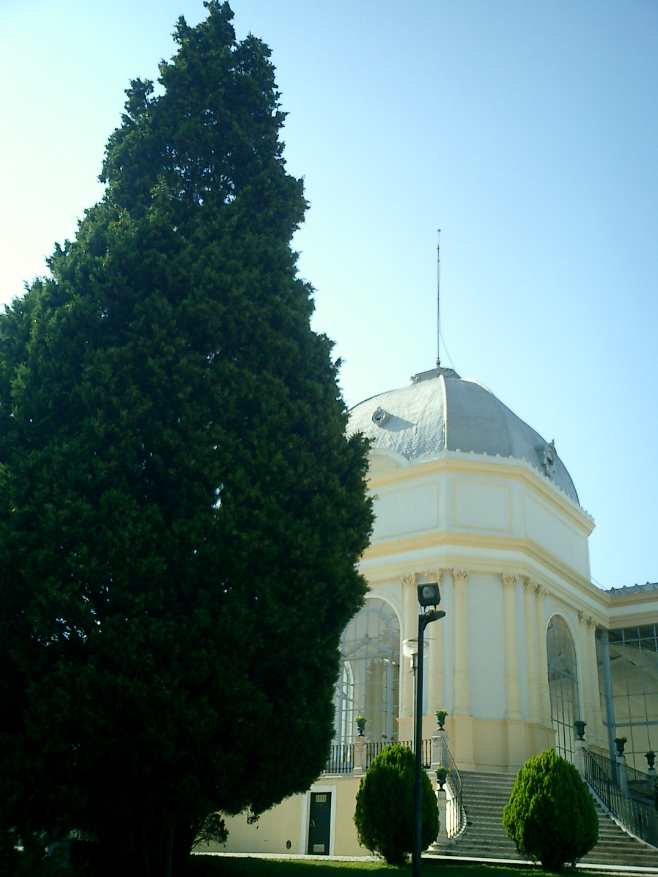 [CIMG0169.JPG]