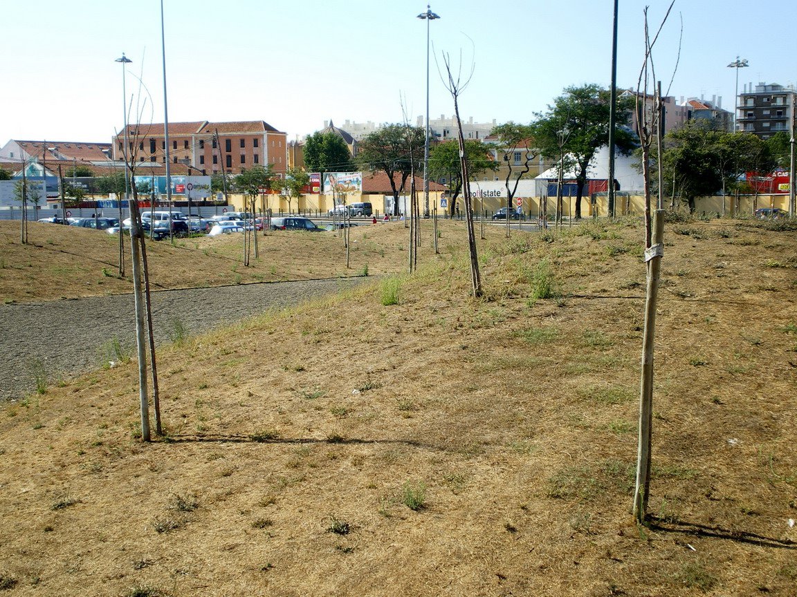 [IMGP3588_resize.JPG]