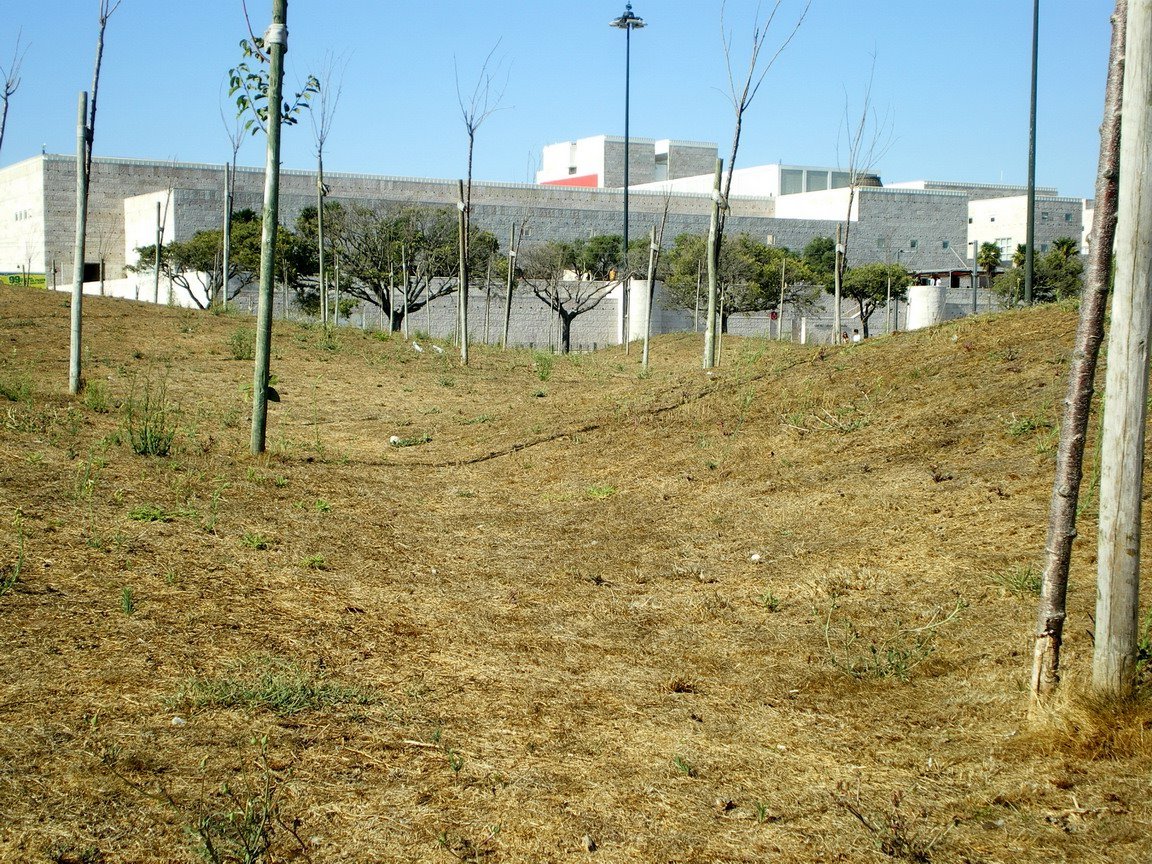 [IMGP3599_resize.JPG]