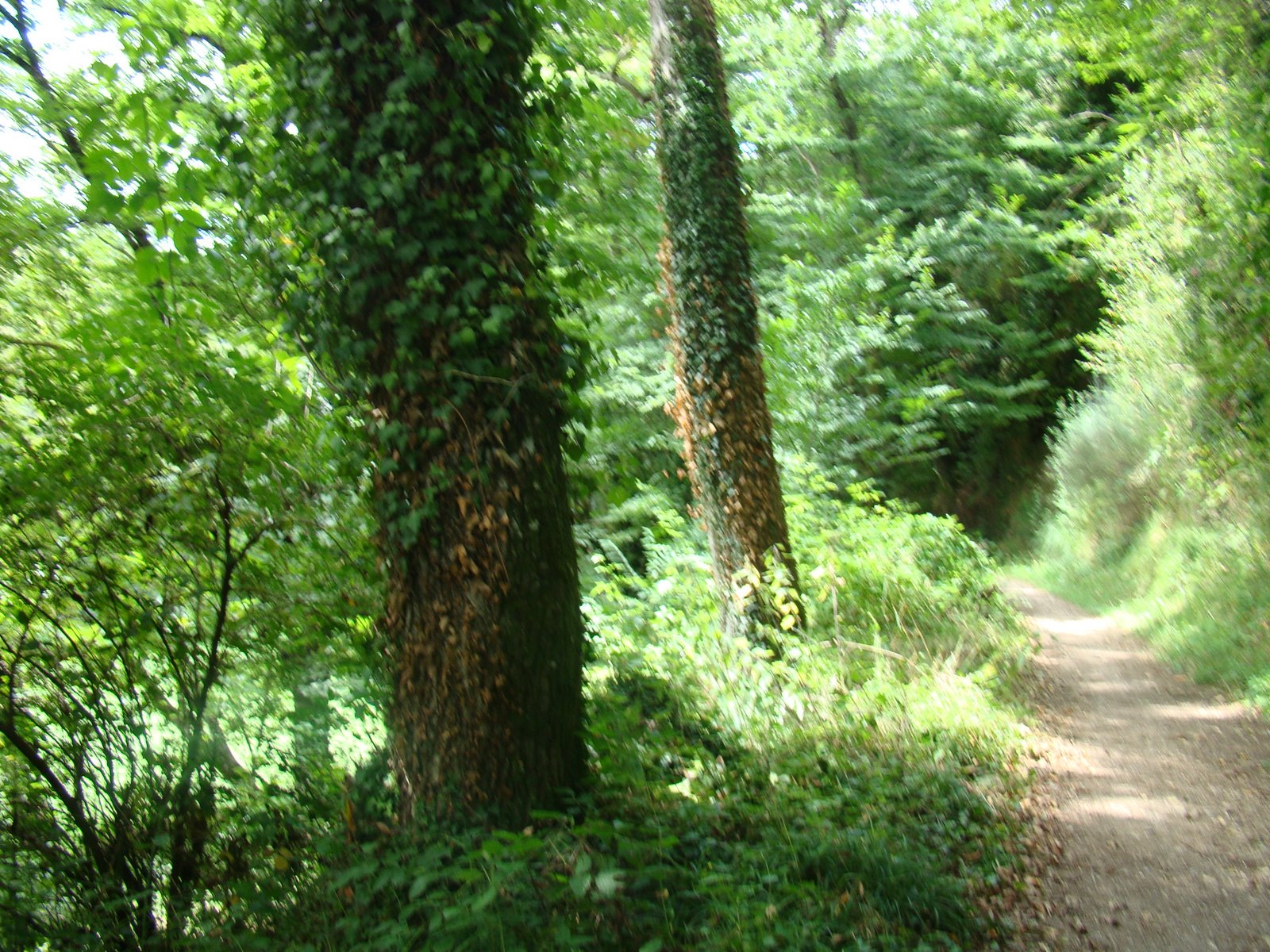 [DSC00367.JPG]