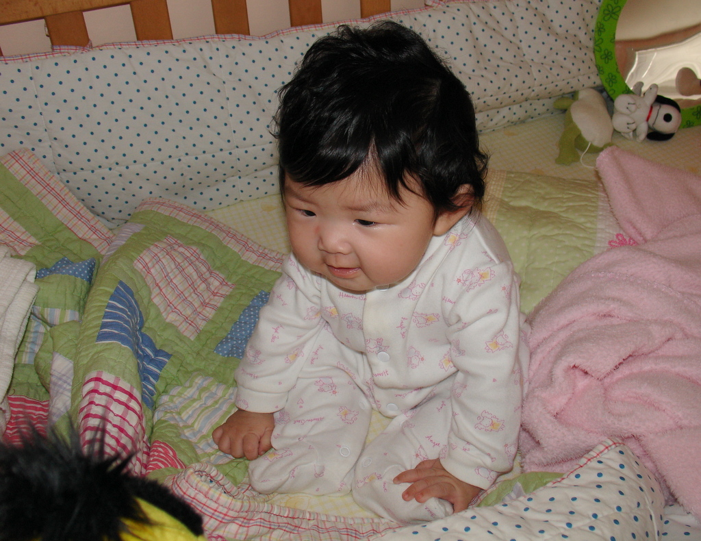 [DSC06066.JPG]
