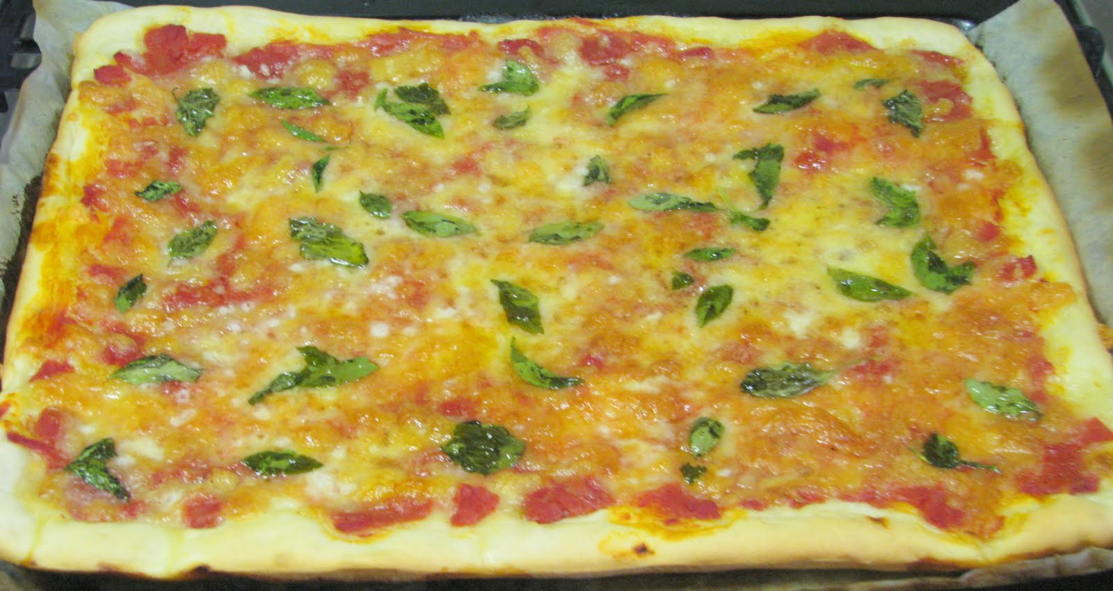 Thermomix Tarif Defterim Pizza Margherita