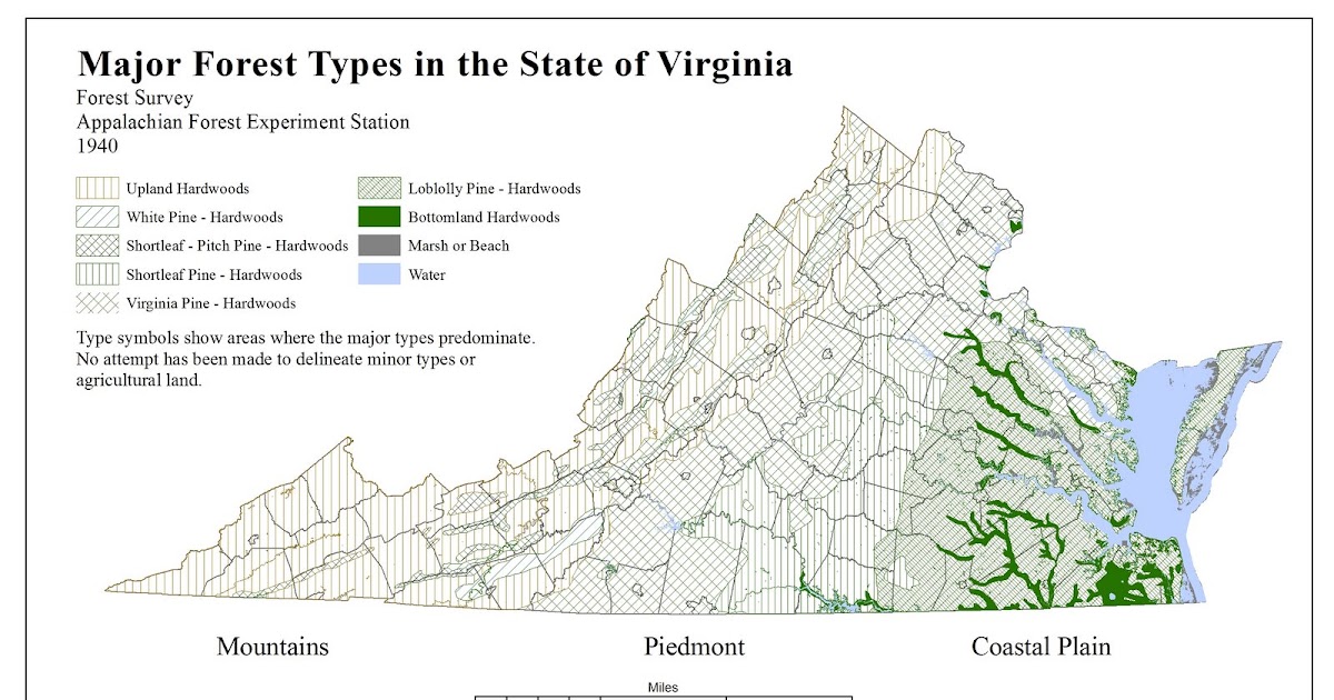 Virginia Forest Type Map 1940