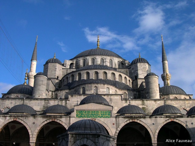 [DSCN5971.JPG]
