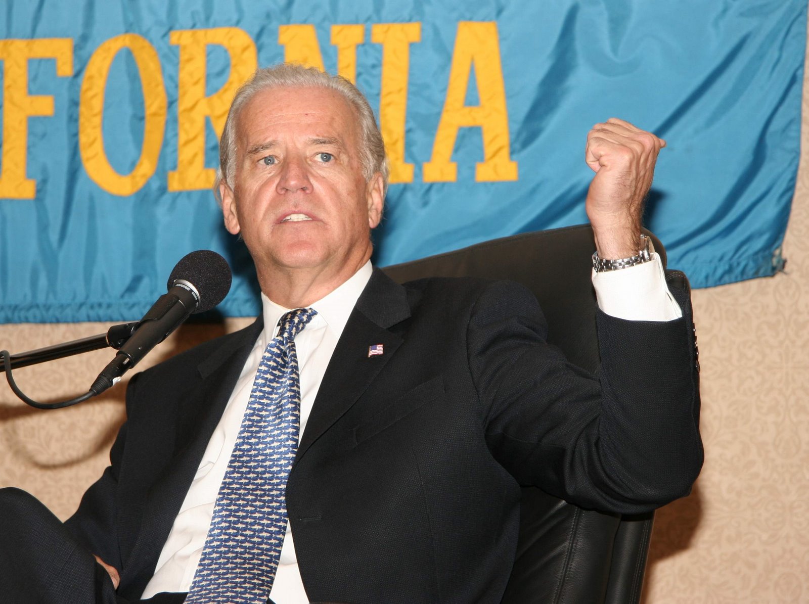 [biden3.jpg]
