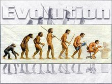 EVOLUCIONA