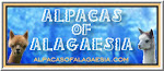 Alpacas of Alagaesia