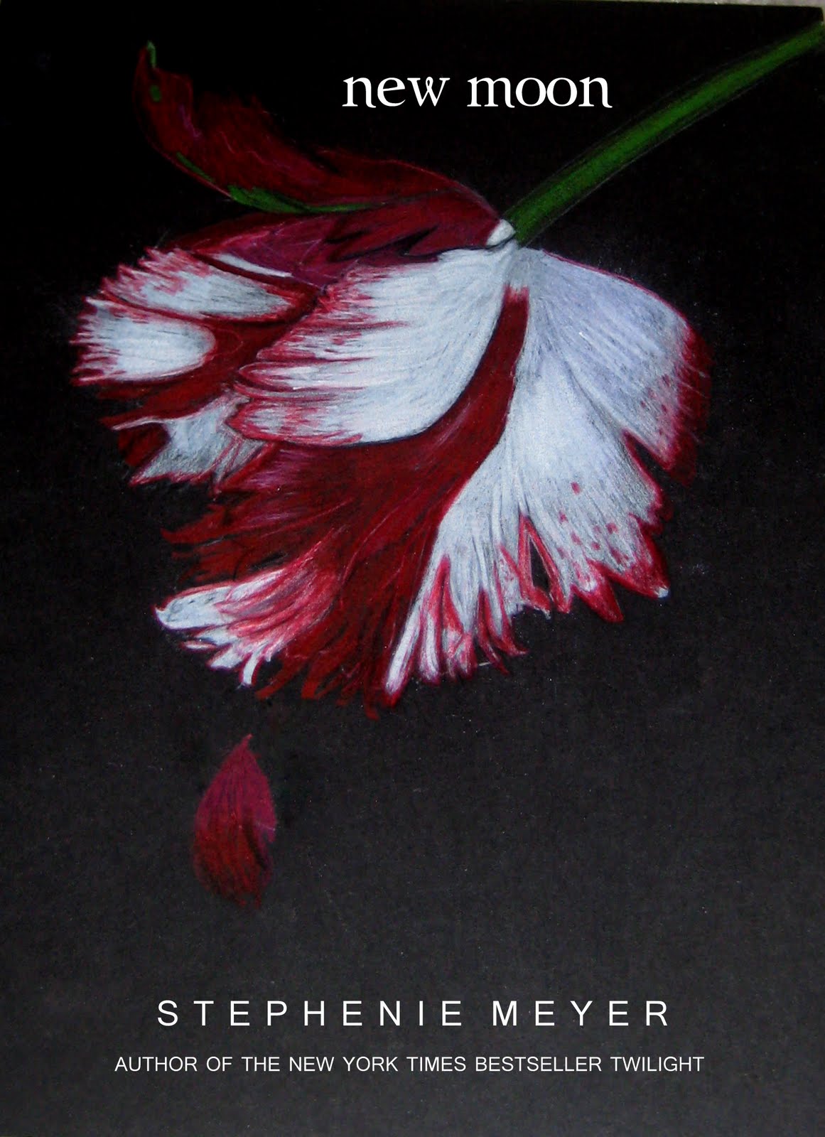 Books That Inspire Me New Moon Inspired Artwork (Twilight Series)