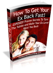 The Pleasure Of Reuniting (Get Your Ex Back)