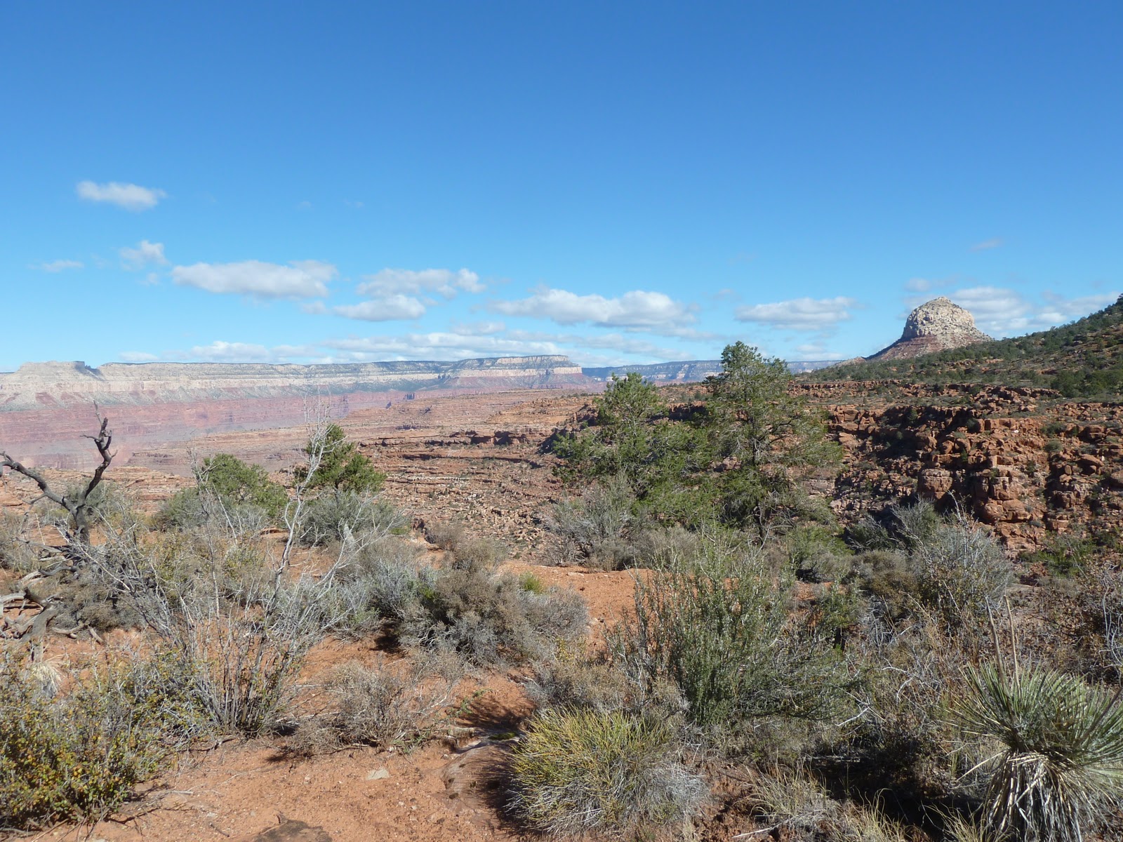 buy Programming Drupal 7 entities