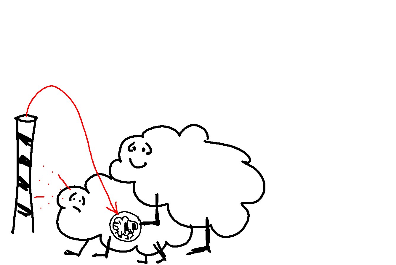 [sheep.bmp]