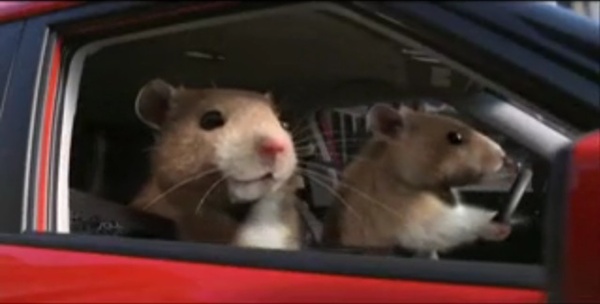 Hamster Kia Commercial