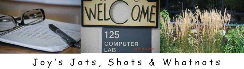 Joy's Jots, Shots & Whatnots