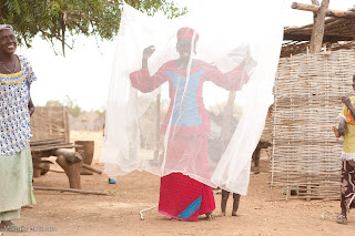 Photo courtesy of ©MHallahan/Sumitomo Chemical-Olyset Net®