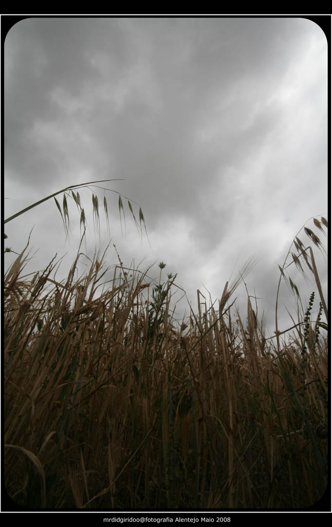 [IMG_6677-Edit-2.jpg]