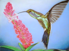 COLIBRI