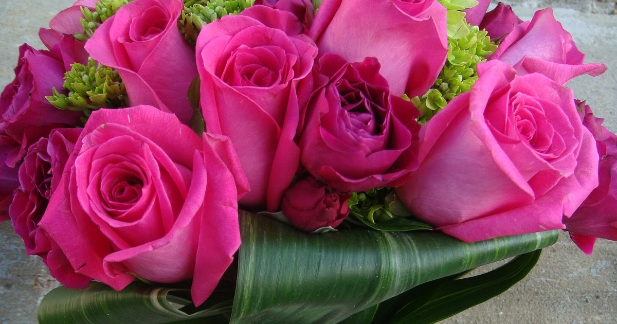 Роза Равель Фото И Описание – Telegraph