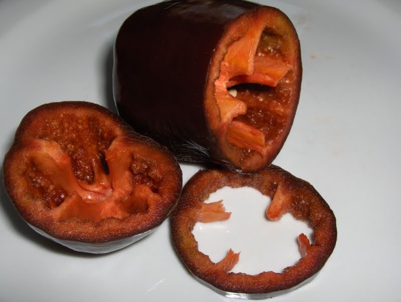 GardenSeed Sweet Chocolate Bell Pepper