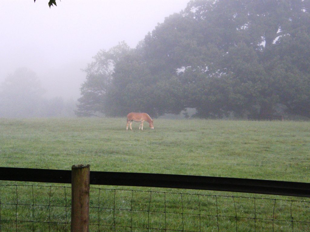 [July+2009+294a.jpg]