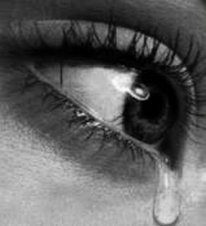 http://1.bp.blogspot.com/_BnqwVXeG0EI/SRs7Lhw1eRI/AAAAAAAAABQ/EdLtXV0MRxE/s320/untitled.bmp
