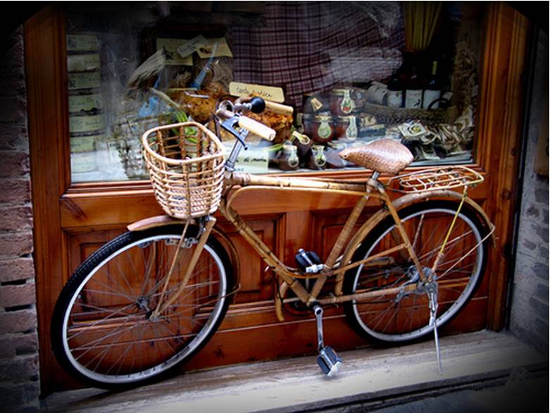 [bamboo+bike.jpg]