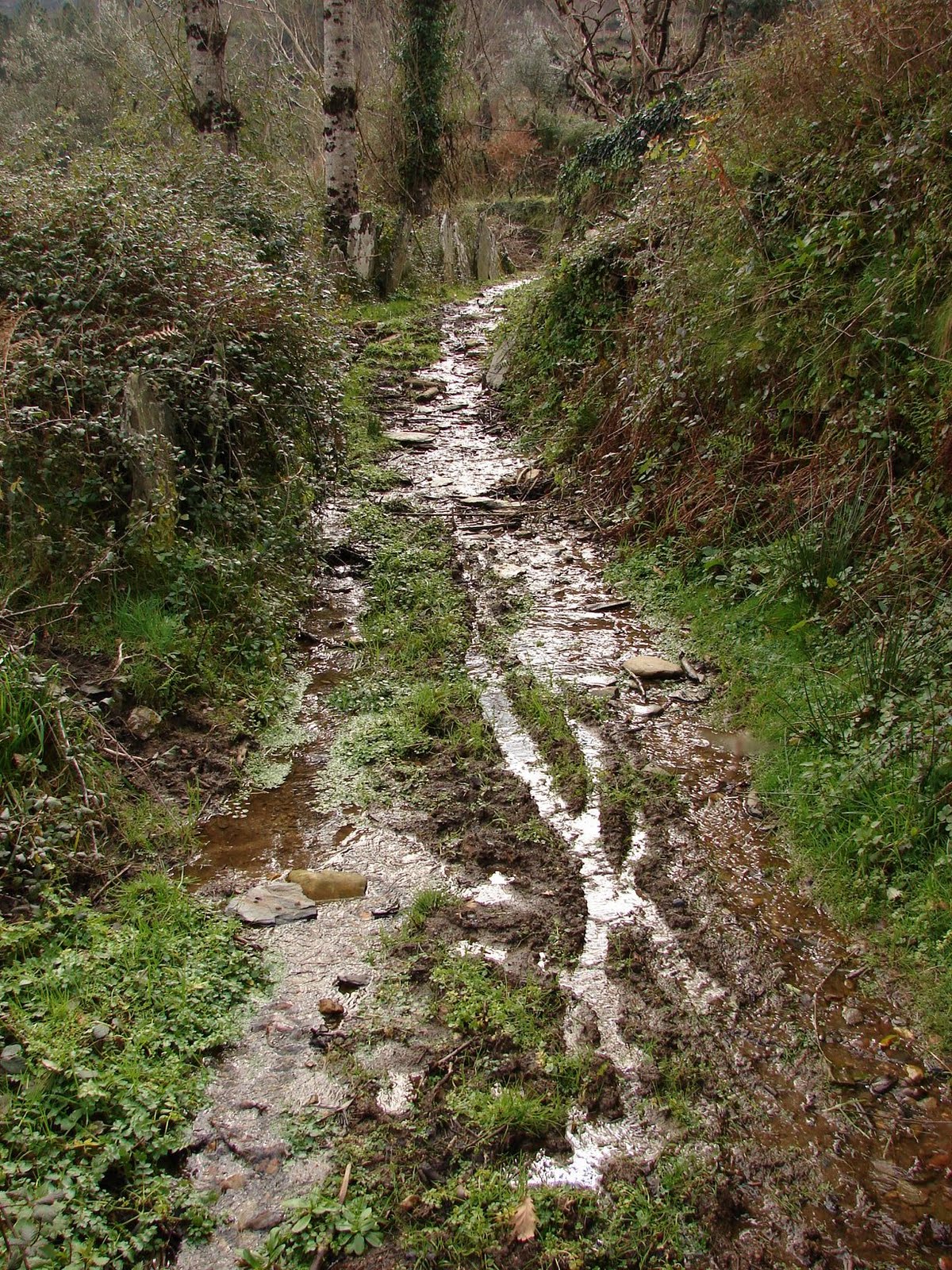 [DSC06806.JPG]