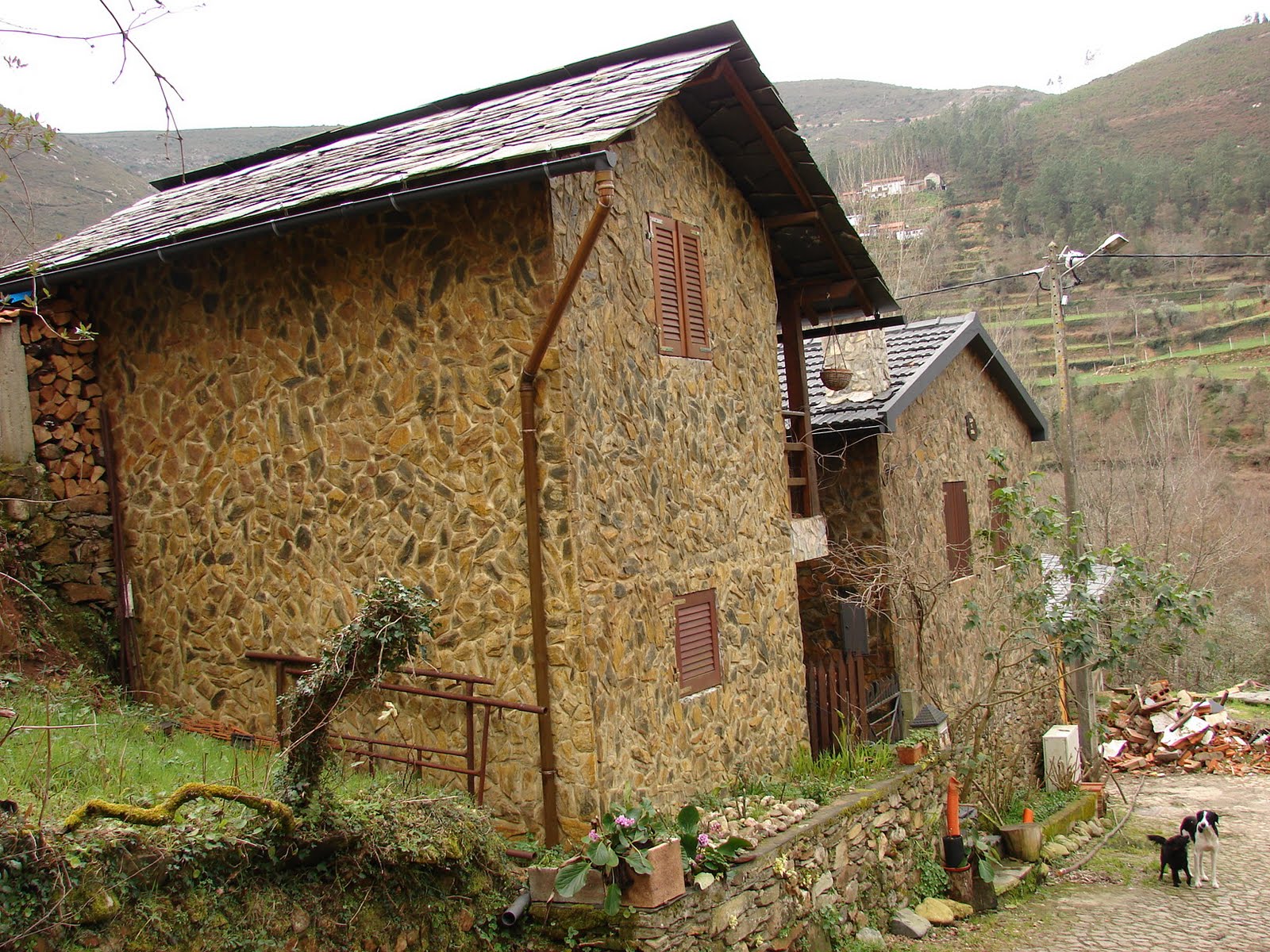[DSC06818.JPG]