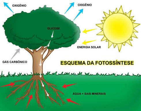 Exercicios sobre fisica nuclear