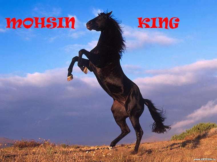 MOHSIN KING