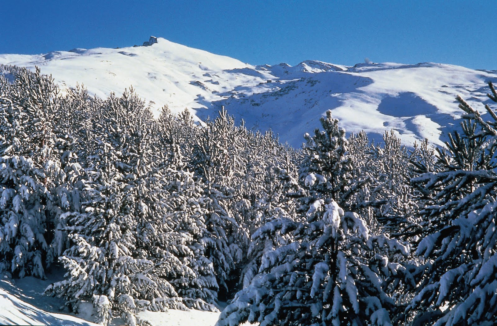 Granada Sierra Nevada