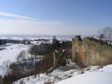 Pejzaż zimowy- widok z zamku