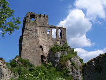 Zamek Kamieniec "dolny"