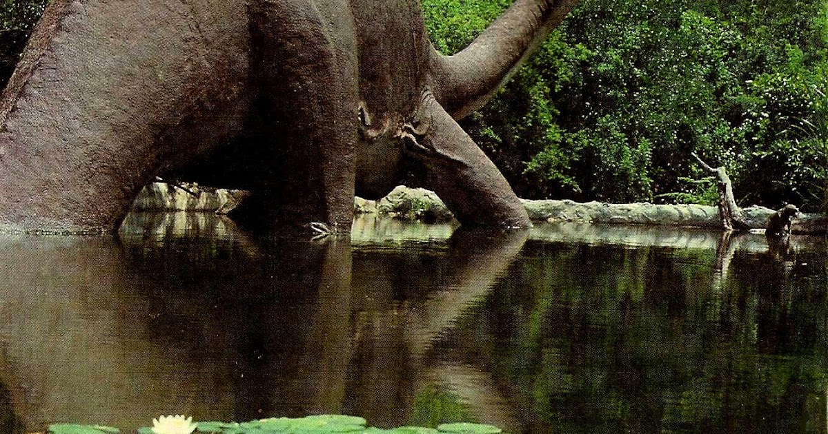 climates What the Dinosaurs Have to Teach us about Future Climates