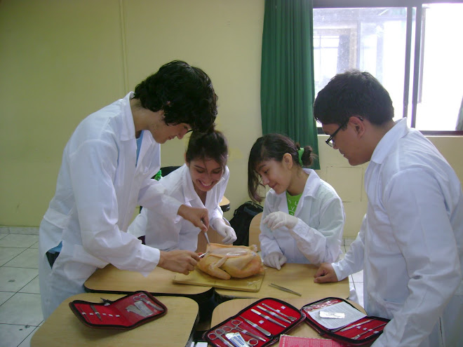 V OLIMPIADA PERUANA DE BIOLOGIA 2010