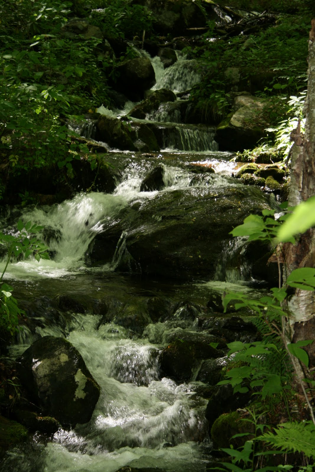 The Continuous Tourist The Waterfall Walks