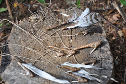 Bone and wood fish hooks