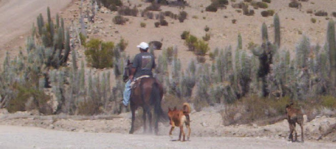 AL PASO DE LOS SIGLOS EMERGE EL COPAO