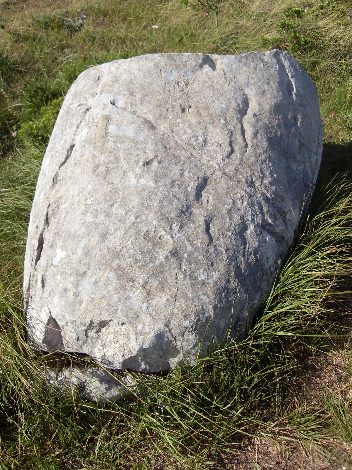 [SDC11555.JPG]