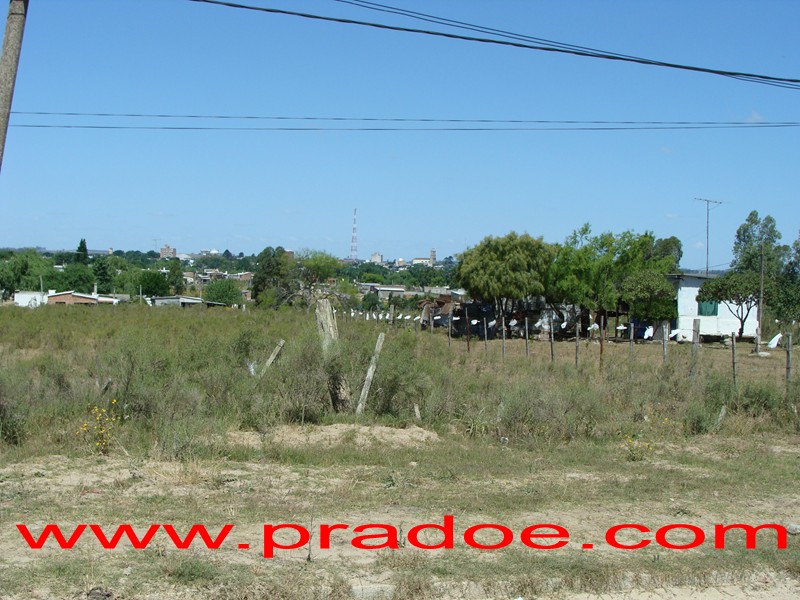 [ciudad+desde+la+cuchilla.JPG]