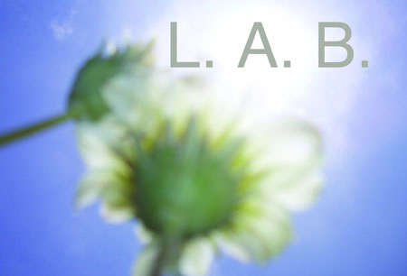 [LAB+postcard+front+for+web.jpg]