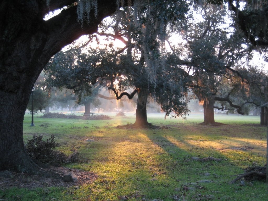 [Gary+Smith+Morning_in_Audubon+compressed.jpg]