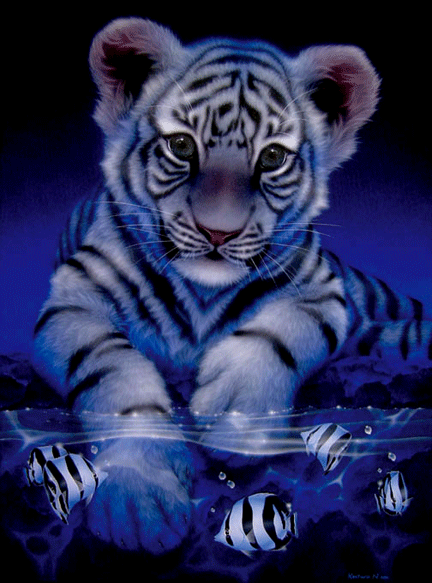 Baby+white+tiger+cartoon
