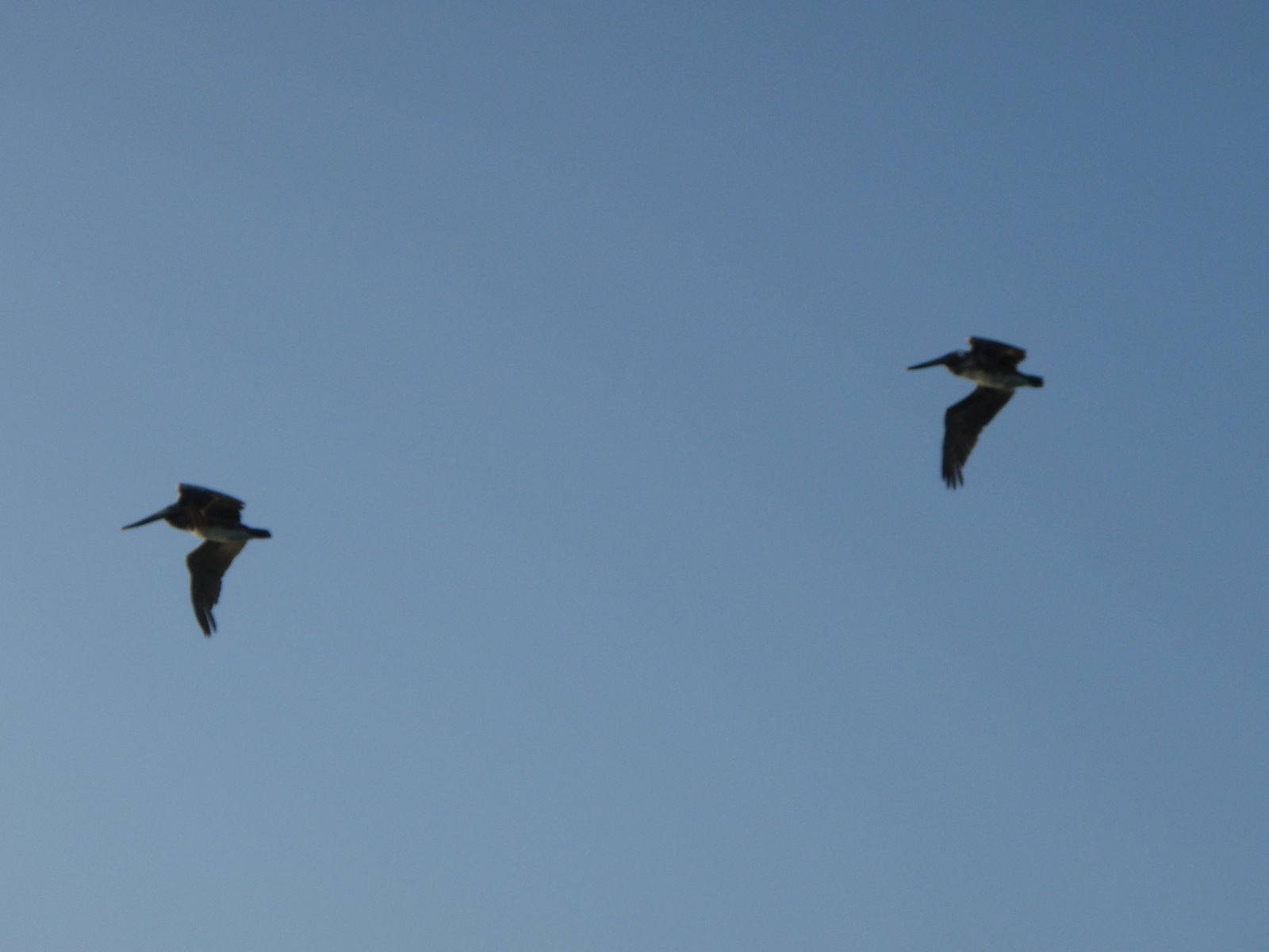 [P5020035.JPG]