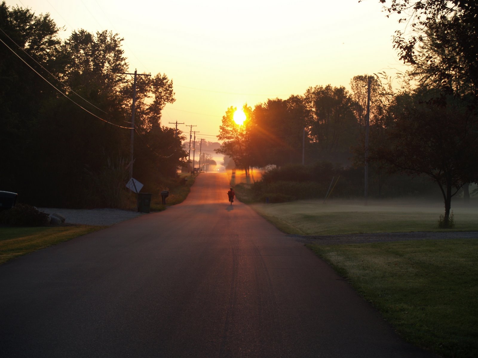 [P1016971.JPG]