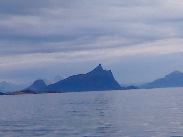 [image-upload-277-739062.jpg]