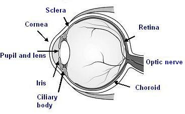 Labelled Eye Diagram