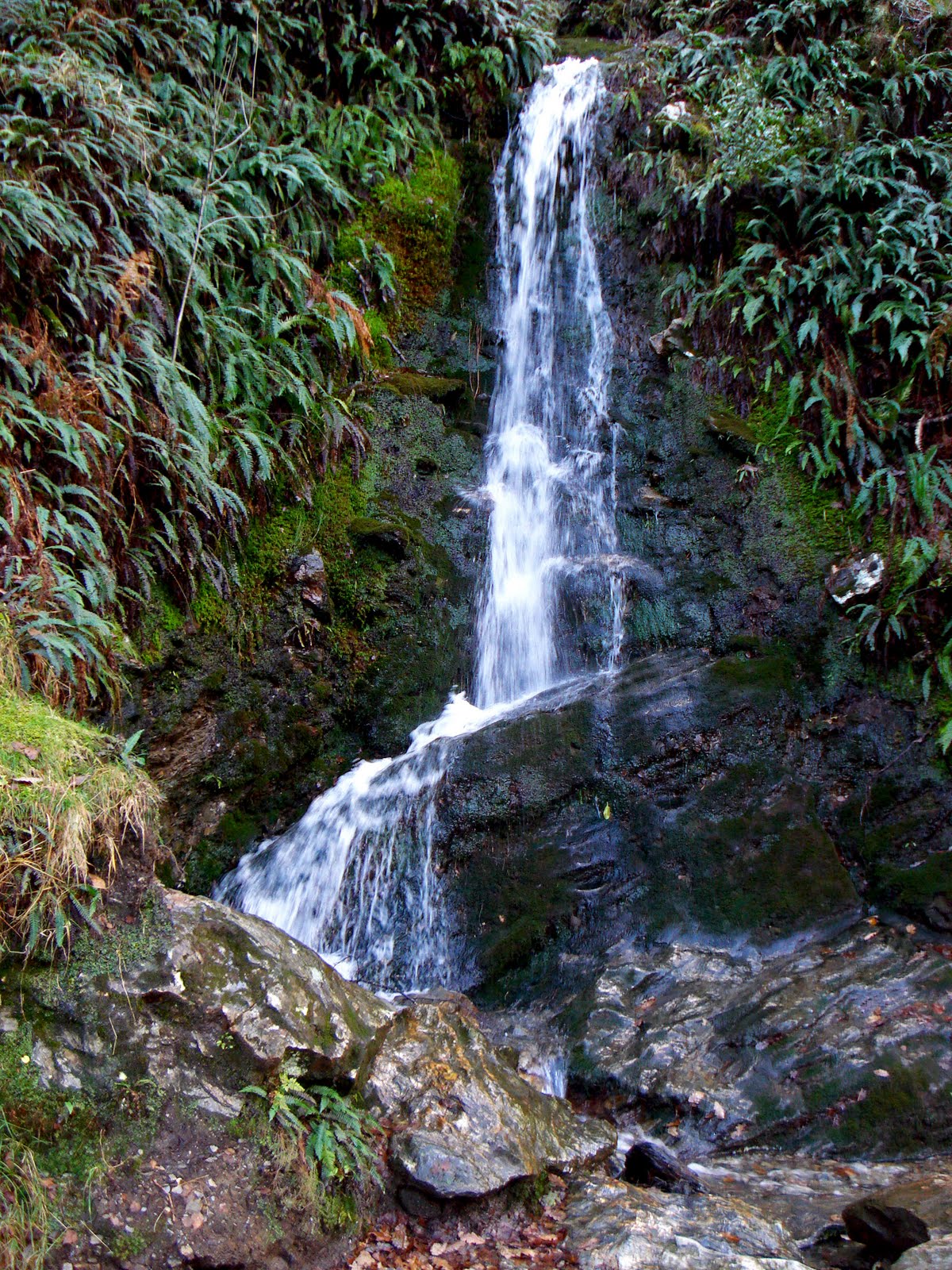 Auslandspraktikum 2009: Sightseeing in Dublin