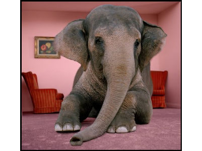 [elephant+in+room.jpg]