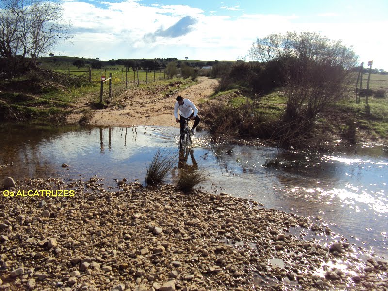 [DSC01608.bmp]